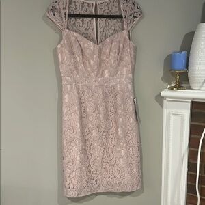 Elegant Lace Dress in Soft Pink